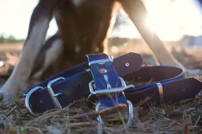 Dog Collar PVC 32mm x 55cm - Navy