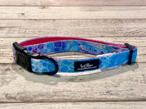 Dog Collar Sunset Beach