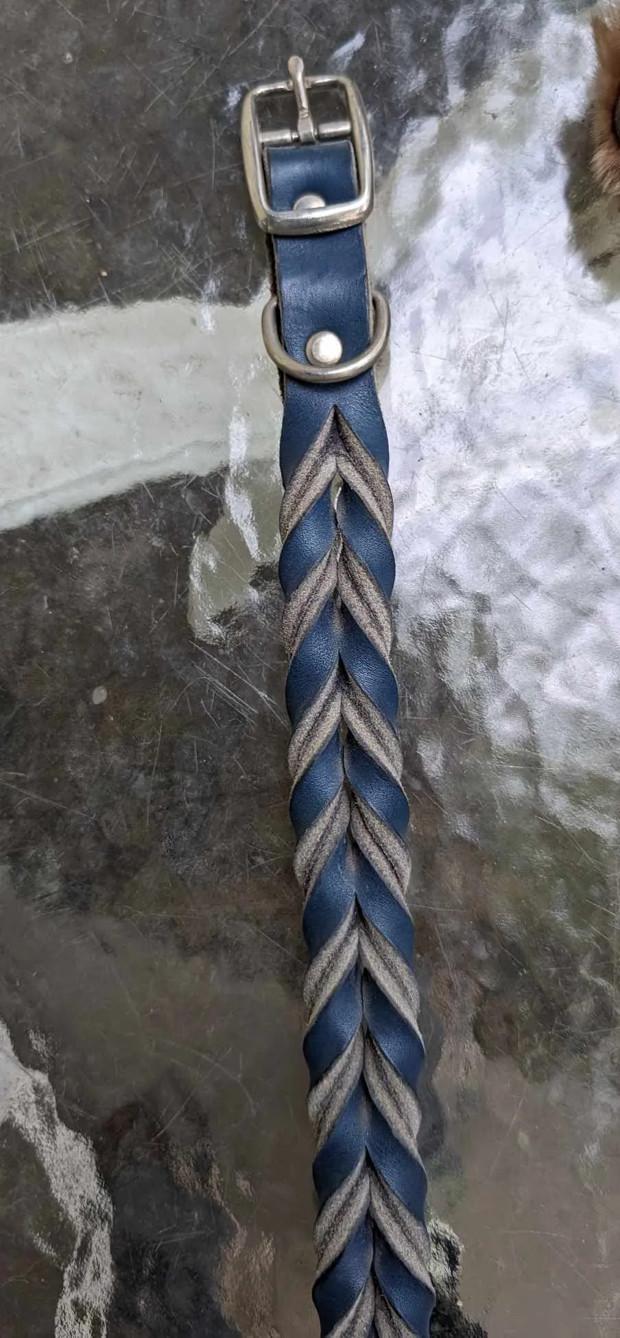 SALE! Shop worn Braided Latigo Leather Collars - SIZE 16 (fits 13.5"-16")