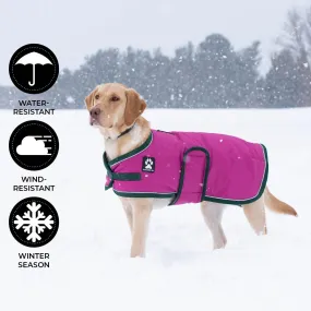 Shedrow K9 Vail Dog Coat Fushia (EXTRA 50% OFF AT CHECKOUT)