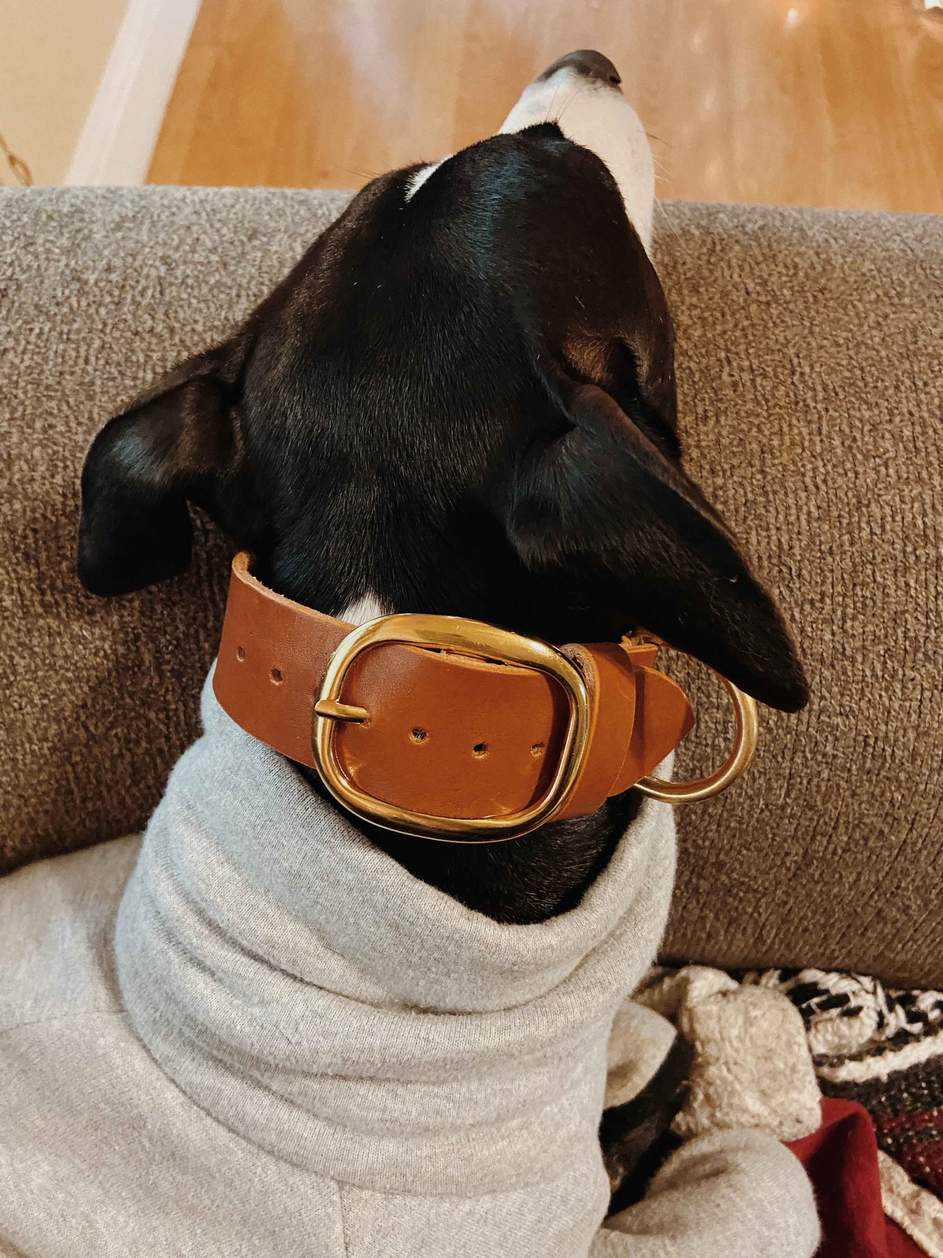 The “Cruz” Collar